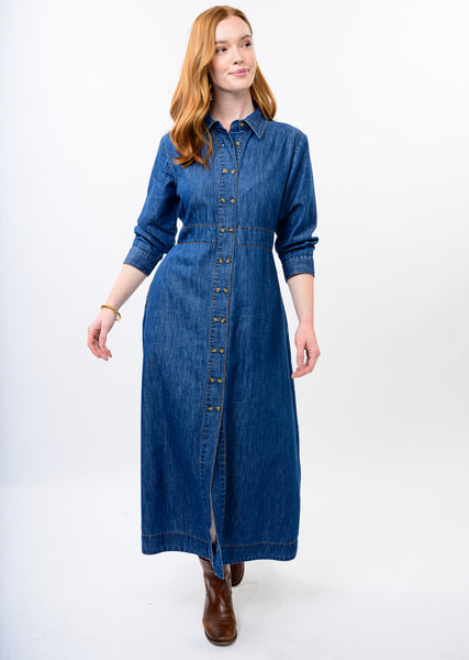Uncle Frank Tencel Denim Shirtwaist Dress