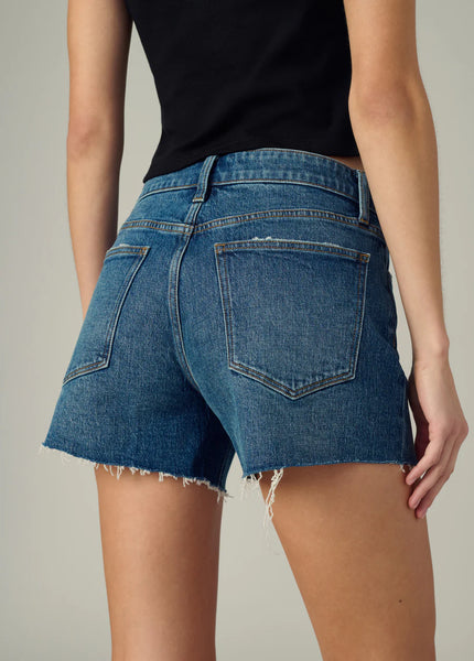 Joe’s Jeans Jessie High Rise Relaxed Short in Bad Apple
