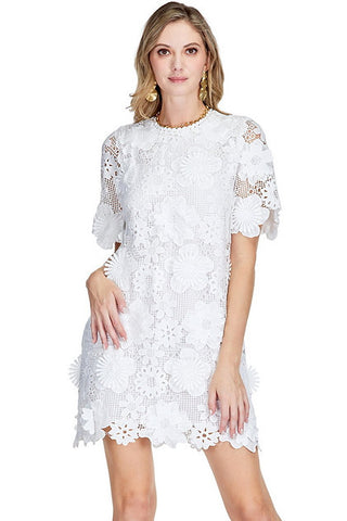 Jade Lace Chemise Dress