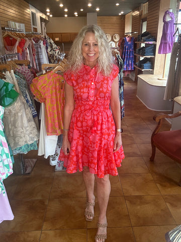 Uncle Frank Swing and Cinched Shirtdress
