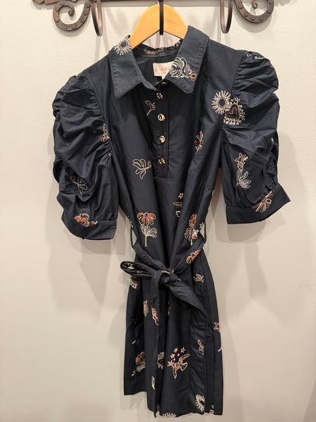 Ciebon Embroidered Puff Sleeve Mini Dress