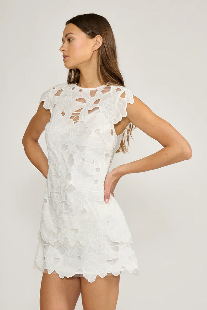Lucy Paris Greta Eyelet Mini Dress